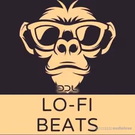 Deep Data Loops Lo-Fi Beats [WAV, MiDi]