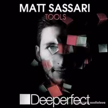 Deeperfect Records Deeperfect Matt Sassari Tools [WAV]