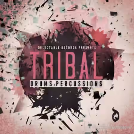 Delectable Records Tribal Drums and Percussion [WAV]