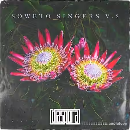 Diaspora Soweto Singers Vol.2 [WAV]