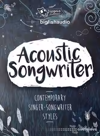Dieguis Productions Acoustic Songwriter [KONTAKT, MULTiFORMAT]
