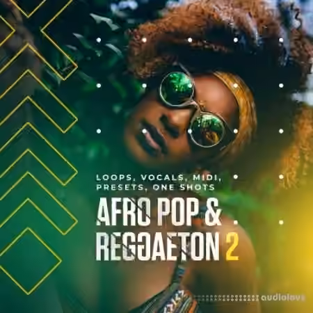 Diginoiz Afro Pop And Reggaeton 2 [WAV, MiDi]