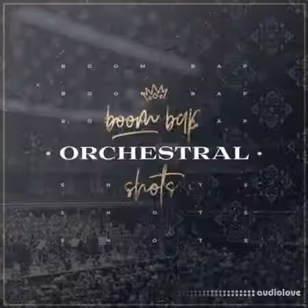 Diginoiz Boom Bap Orchestral Shots [WAV]