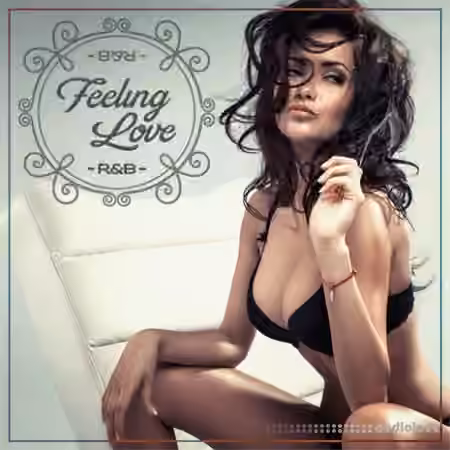 Diginoiz Feeling Love RnB [WAV, AiFF]