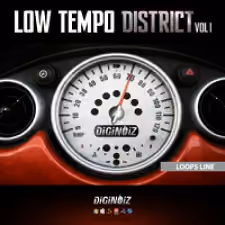 Diginoiz Low Tempo District [ACiD, WAV]