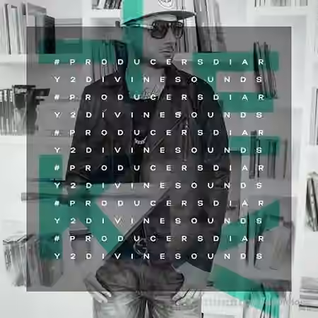 Diginoiz Producers Diary 2 Divine Sounds [WAV]
