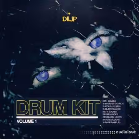 Dilip Drum Kit Vol.1 [WAV]