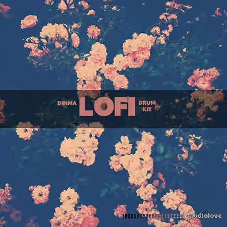 Dinma Beats Lo-Fi Drum Kit [WAV]