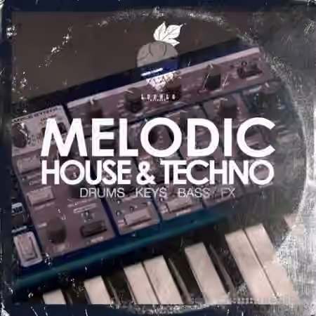 Dirty Music Melodic House and Techno [WAV]