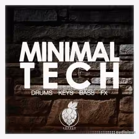 Dirty Music Minimal Tech [WAV]