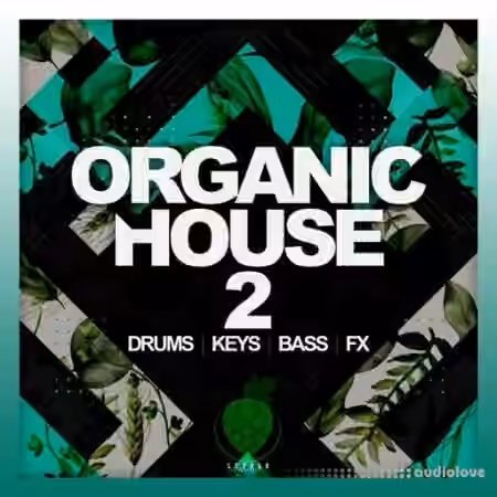 Dirty Music Organic House Vol. 2 [WAV]