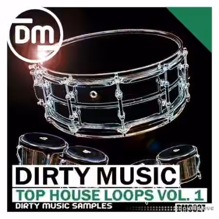 Dirty Music Top House Loops Vol. 1 [WAV]