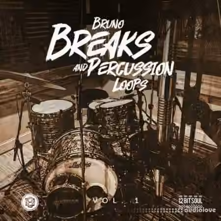 Divided Souls Bruno Breaks And Percussion Loops [WAV]