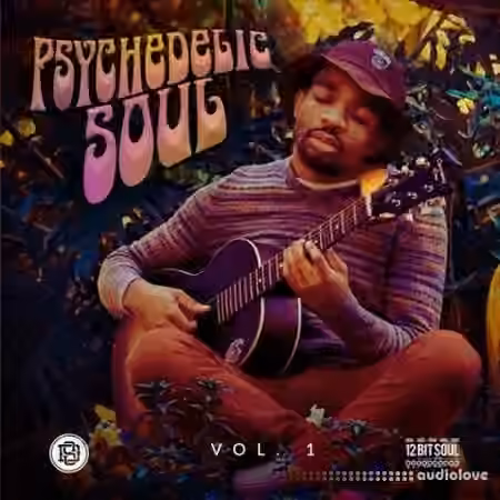 Divided Souls Psychedelic Soul [WAV]