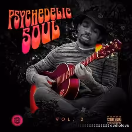 Divided Souls Psychedelic Soul Vol.2 [WAV]
