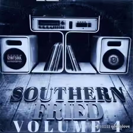 Divided Souls Southern Fried Volume 4 [WAV]