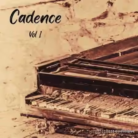 DiyMusicBiz Cadence Vol 1 [WAV]