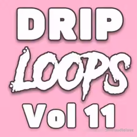 DiyMusicBiz Drip Loops Vol.11 [WAV]