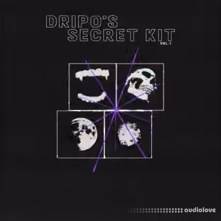 Dripo Secret Kit Vol.1 [WAV, MiDi, Synth Presets]