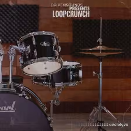 Drivensounds LOOPCRUNCH [WAV]