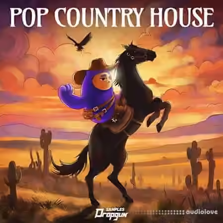 Dropgun Samples Pop Country House [WAV, Synth Presets]
