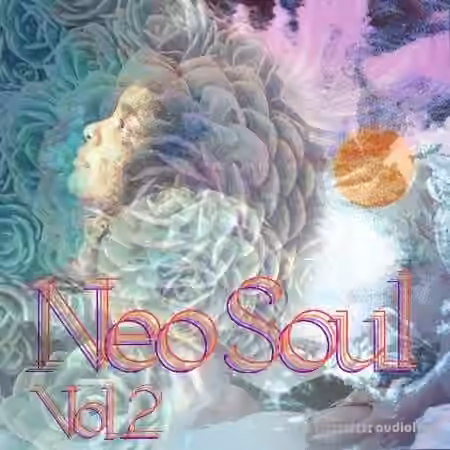 Drumdrops Neo Soul Vol.2 [WAV]