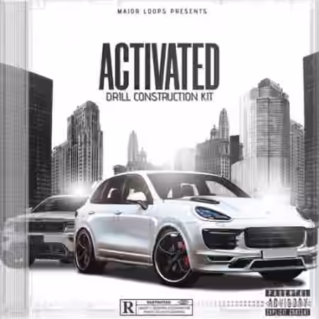 Dynasty Loops Activated [WAV]