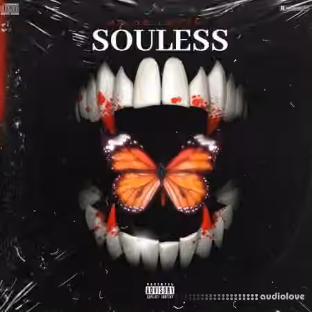 Dynasty Loops Souless [WAV]