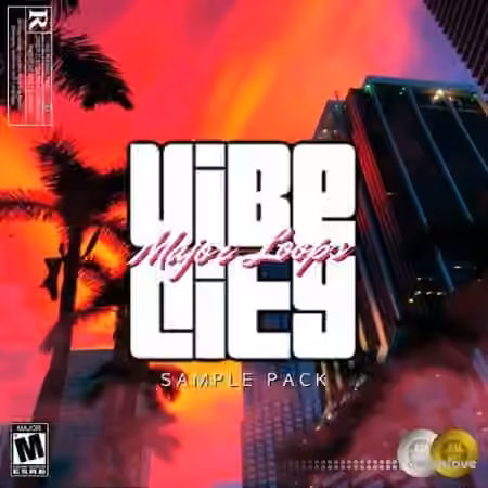 Dynasty Loops Vibe City [WAV]