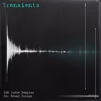 Eric Bowman Transients Sample Pack [WAV, Synth Presets]