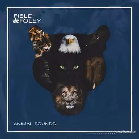 Field and Foley Animal Sounds [WAV]