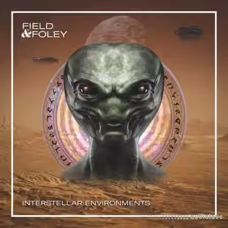 Field and Foley Interstellar Environments [WAV]