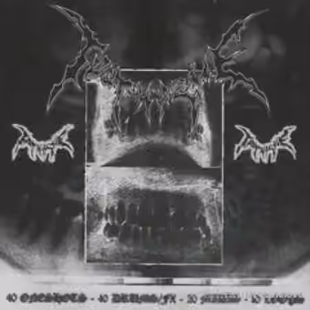 Filipmakesbeats Toothache Soundkit [WAV, MiDi]