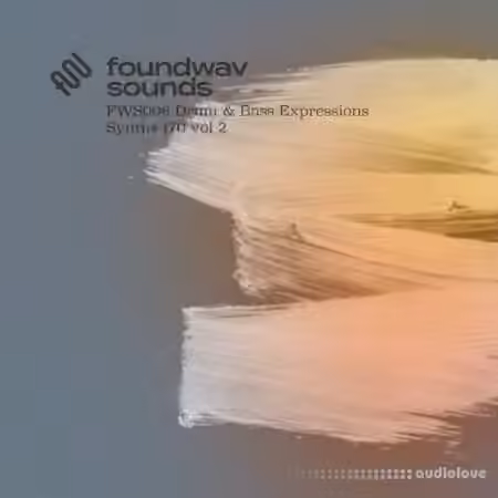 foundwav sounds FWS006 Drum and Bass Expressions Synths 170 Vol 2 [WAV]