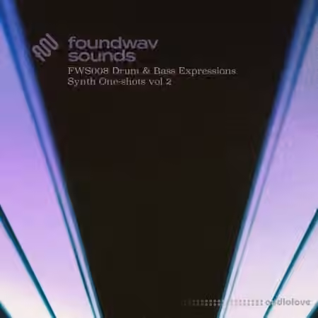 foundwav sounds FWS008 Drum and Bass Expressions Synth Oneshots Vol 2 [WAV]