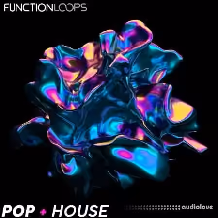 Function Loops Pop + House [WAV]