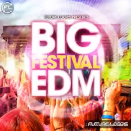 Future Loops Big Festival EDM [WAV, MiDi]
