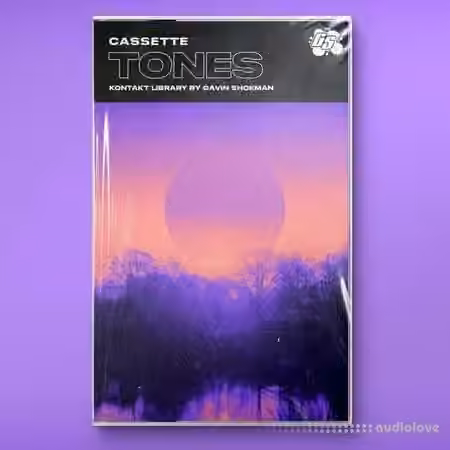 GAVINSHOEMAN Cassette Tones [KONTAKT]