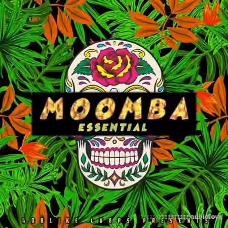Godlike Loops Moomba Essential [WAV, MiDi]