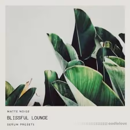 GOGOi Blissful Lounge [Synth Presets]