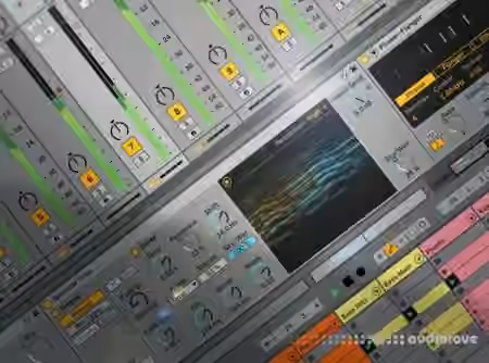 Groove3 Ableton Live 11 Explained [TUTORiAL]