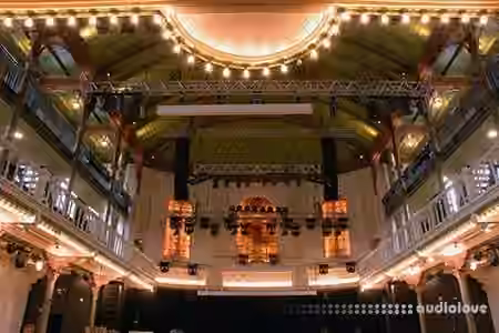 Hammerstein Ballroom for Audio Ease Altiverb [Plugins Presets]