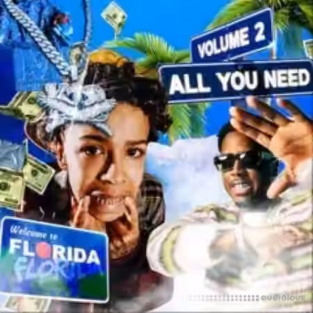 Hawky Whydah All You Need 2 (Florida Multi-Kit) [WAV, MiDi, Synth Presets, DAW Templates]