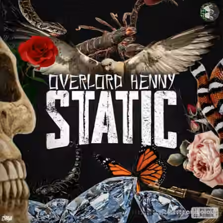 Henny Static Vol.1 [WAV, DAW Templates]