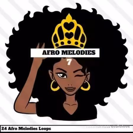 HOOKSHOW Afro Melodies 7 [WAV]