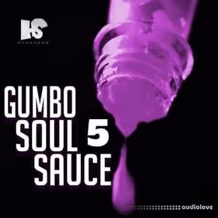 HOOKSHOW Gumbo Soul Sauce 5 [WAV]