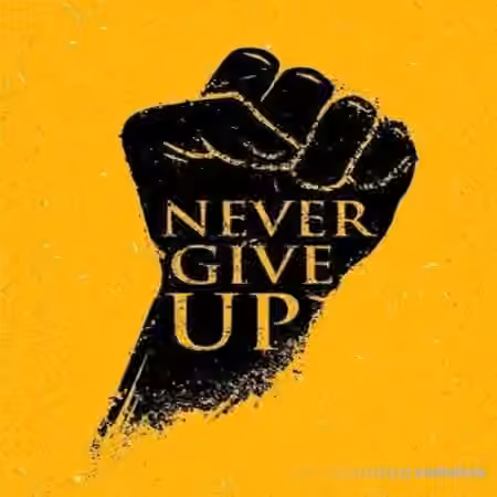 HOOKSHOW Never Give Up [WAV]