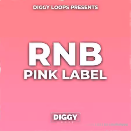 HOOKSHOW RnB Pink Label [WAV]