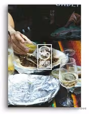 HUNGERFORCEBEATS Weekend at Hungers Drum Kit [WAV]