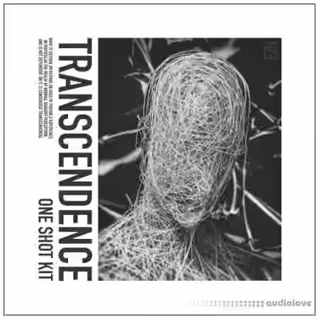 HZE Transcendence (One Shot Kit) [WAV]